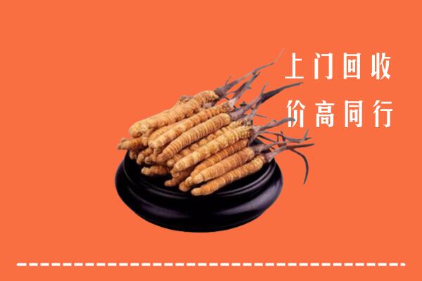 高价求购：德州夏津县回收散虫草