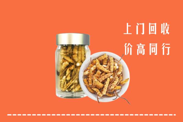 德州夏津县回收冬虫夏草